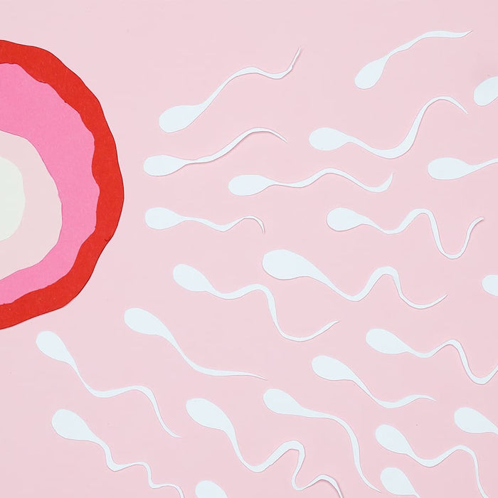 Schlucken Oder Nicht Schlucken Was Sie Über Sperma Wissen Müssen!