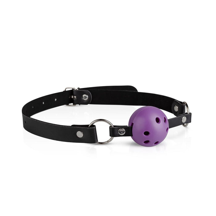 Bedroom Fantasies Purple Apprentice Bondage-Set