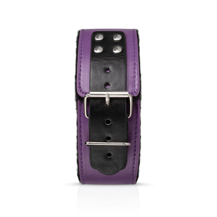 Bedroom Fantasies Purple Apprentice Bondage-Set