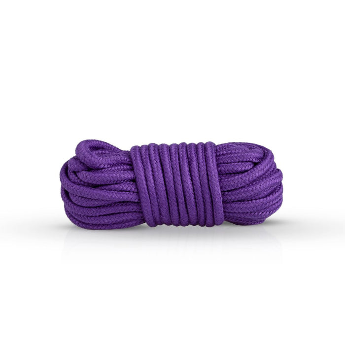 Bedroom Fantasies Purple Apprentice Bondage-Set