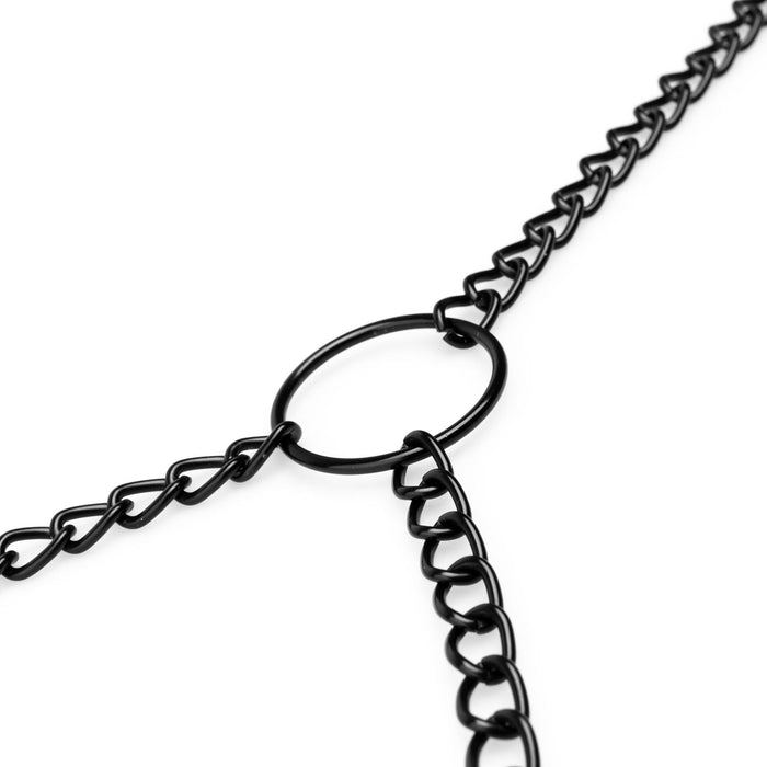 Bedroom Fantasies Nippel Und Klitorisklemmen Mit Kette