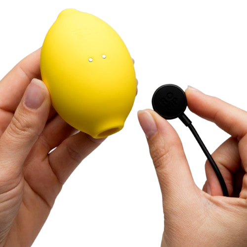 Me You Us The Lemon Vibrator